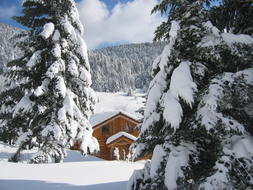 Chalet (8 Adults),663607668:JPEG