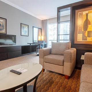 Deluxe Studio Suite Plus