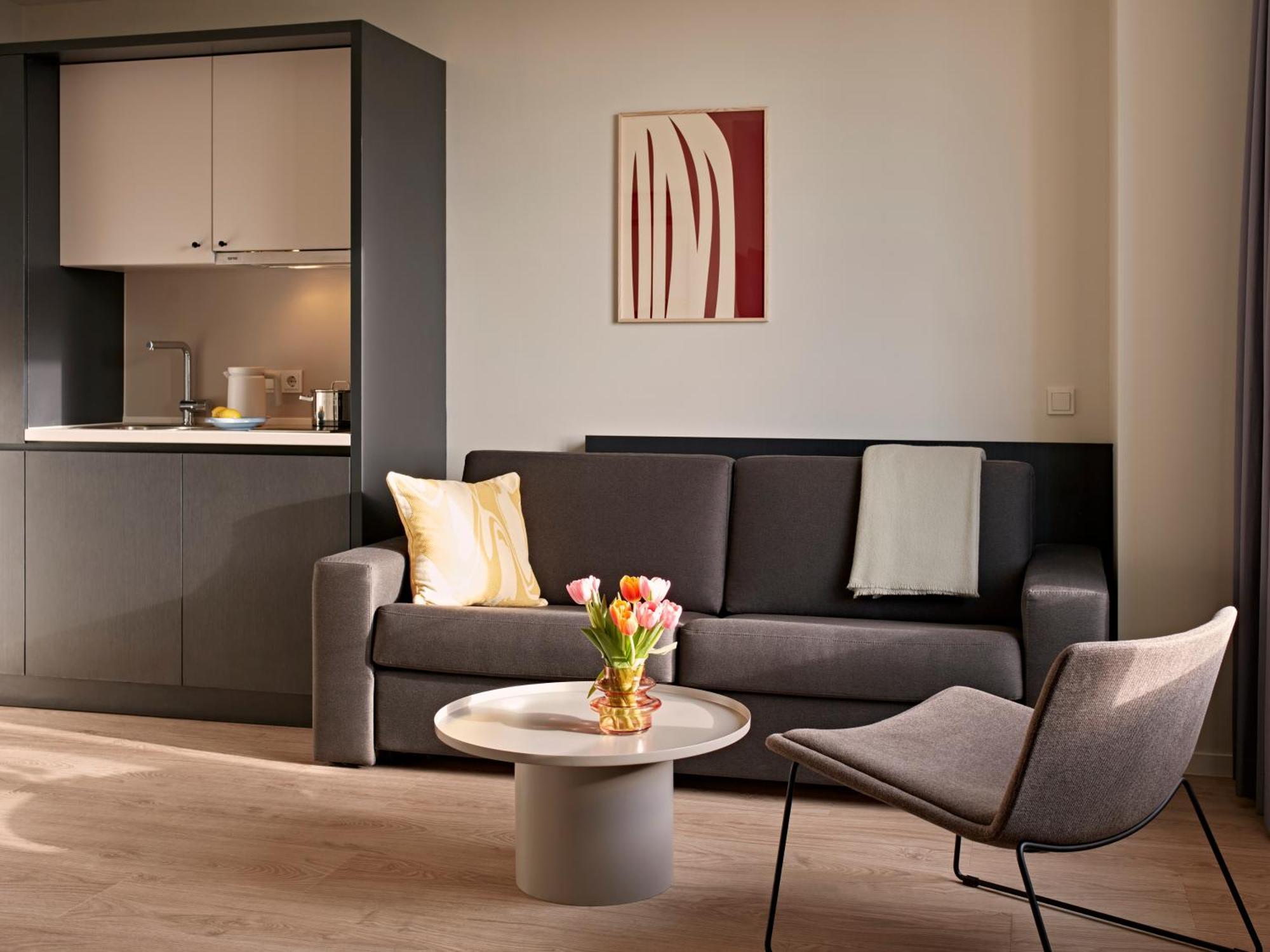 Très Grand Studio avec Cuisine et Canapé-Lit