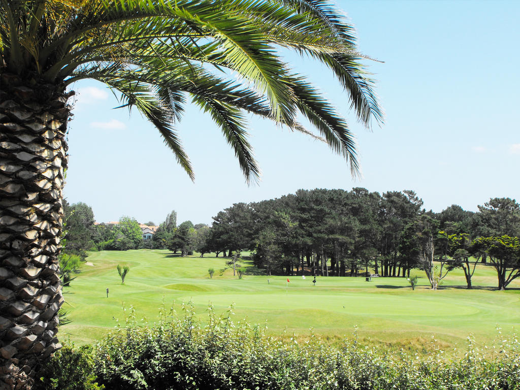 Appartement 1 Chambre - Vue sur Golf (2 Adultes + 2 Enfants)