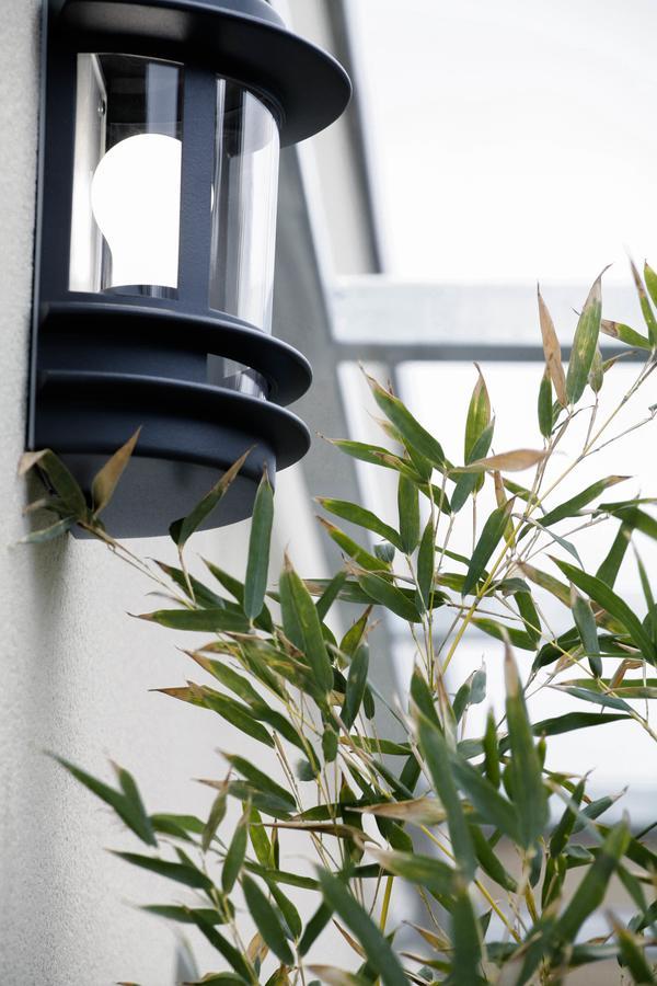 Apartment - Ground Floor,646613085:JPEG