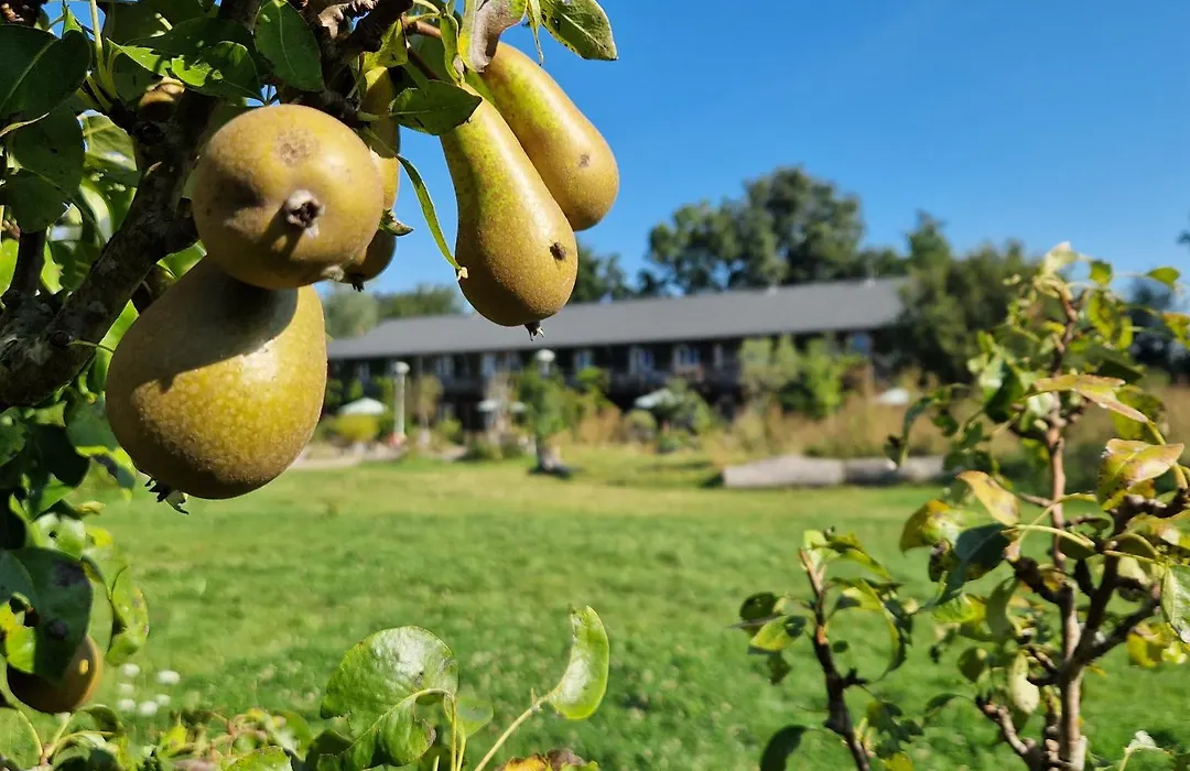 Amsterdam Farm Lodge-1