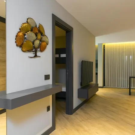 Z-Suites-3