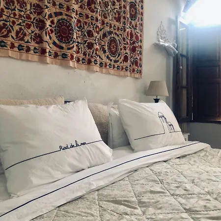 Riad De La Mer-3