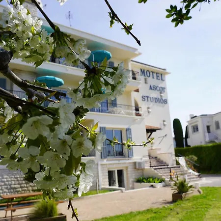 MOTEL ASCOT - Hotel&Appartements-2