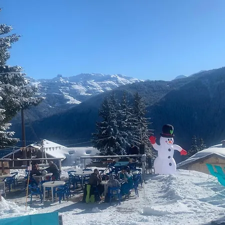 Le Chalet de Bisanne-2