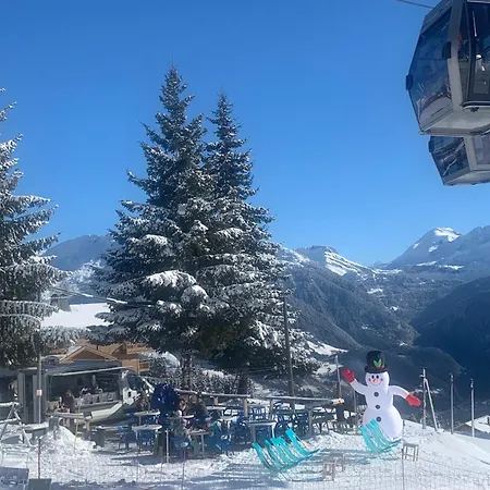 Le Chalet de Bisanne-3
