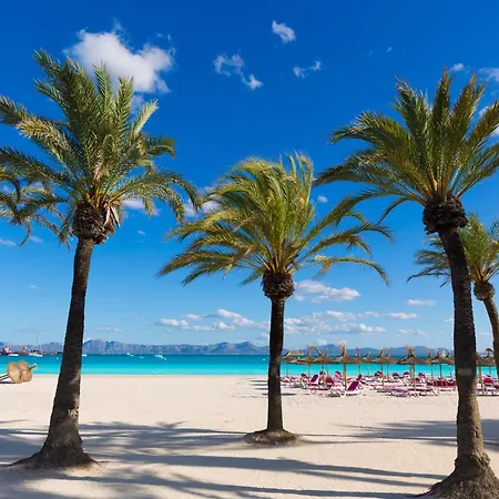 Alcudia Garden Aparthotel-2