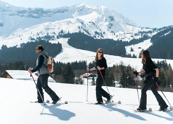 Appart HotelL'Arboisie