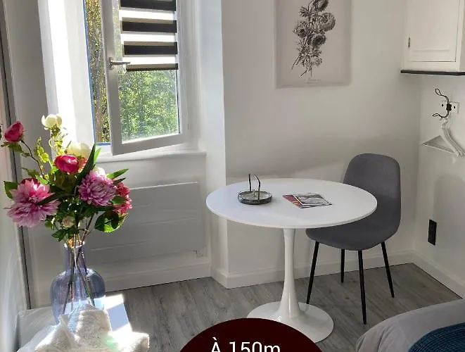 AUX 4 LOGIS Appart-hotel - Studio Le Flore - Petit déjeuner inclus 1ère nuit Foix