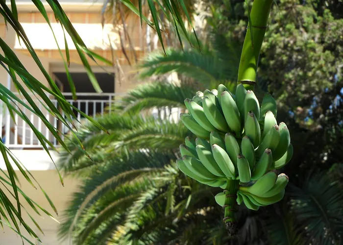 Residence Veles Plage