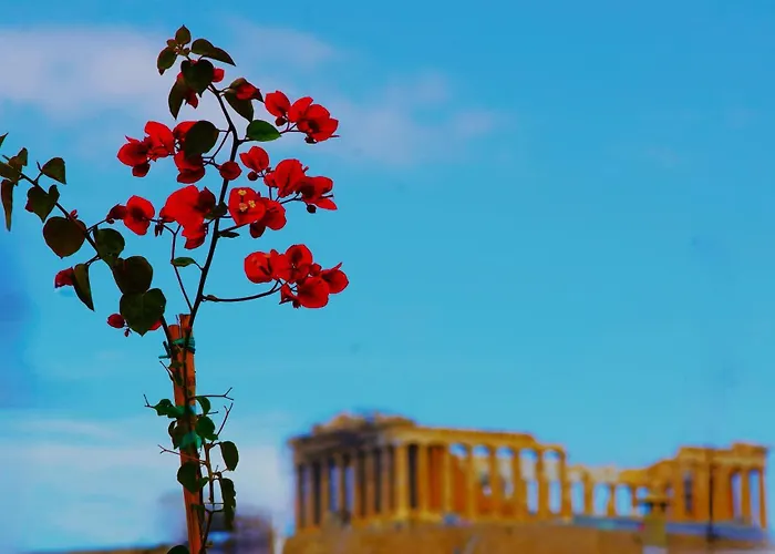 Aparthotel Absolute Athens Acropolis View