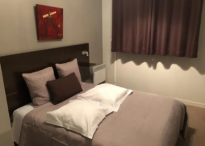 Appart'hotel Les Palatines Saint-Etienne 