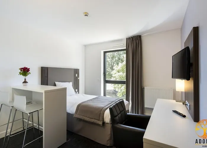 Adonis Dijon Maison Internationale